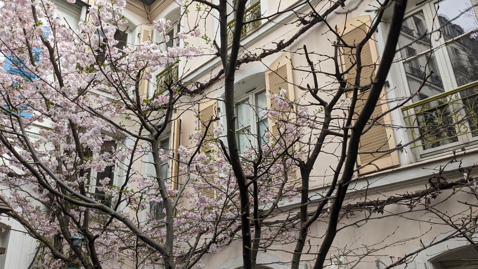D'hotes Calmes Sur Jardin Batignolles Gasthuis